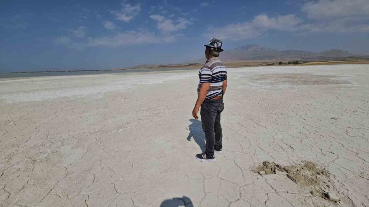 Bitlis’in Adilcevaz ilçesinde bulunan ve kuş cenneti olarak bilinen Arin