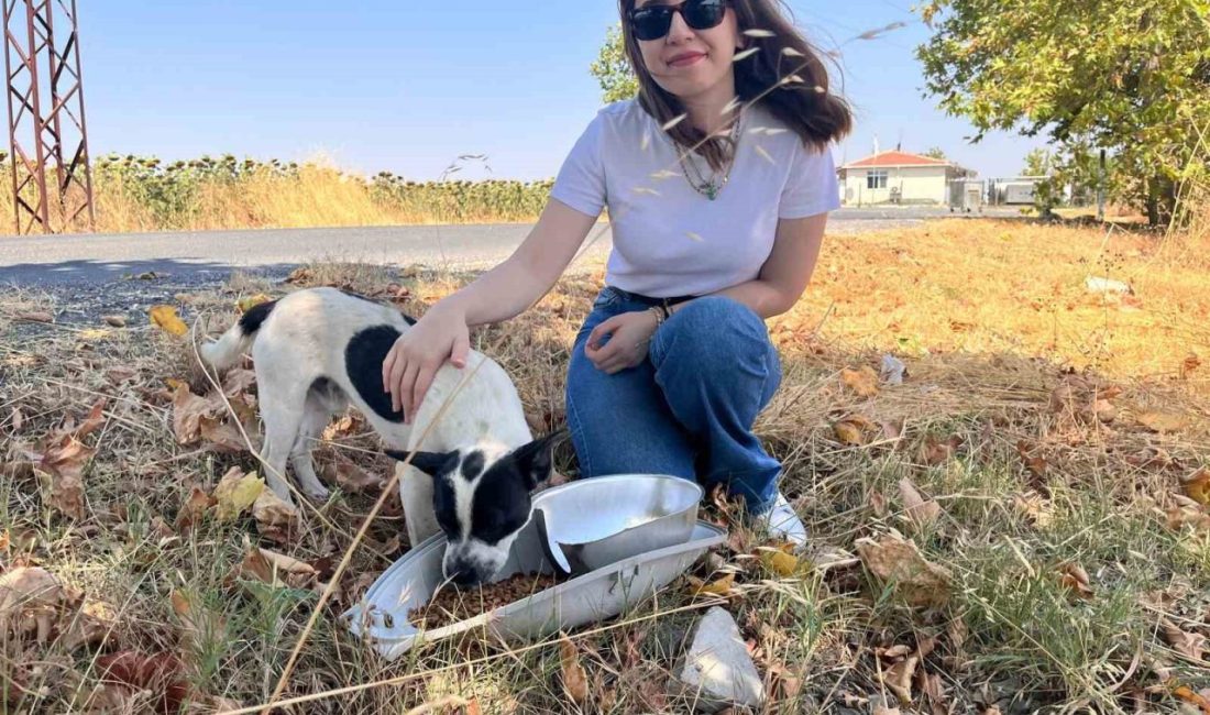 Trakya Elektrik Dağıtım A.Ş. (TREDAŞ), “Enerjimiz Küçük Dostlarımız İçin” projesi