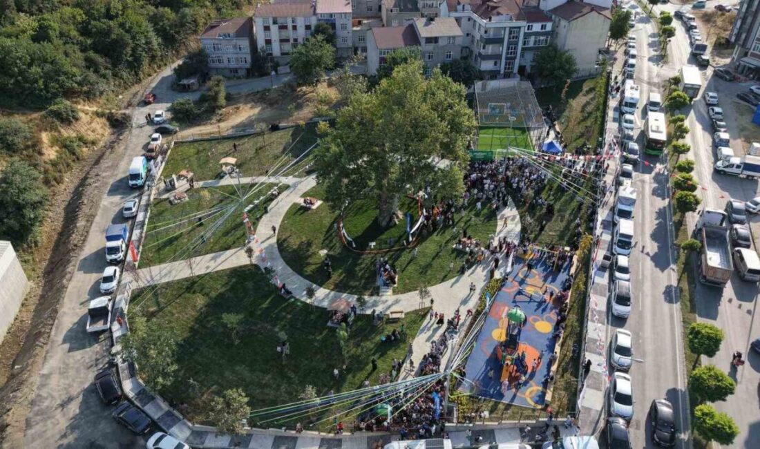 Arnavutköy Belediyesi tarafından Boğazköy İstiklal Mahallesi’nde hayata geçirilen Tarihi Çınar