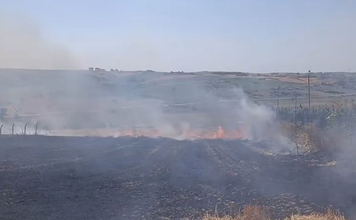 Arnavutköy’de bir tarlada yangın çıktı. Vatandaşlar hortum ve iş makineleriyle