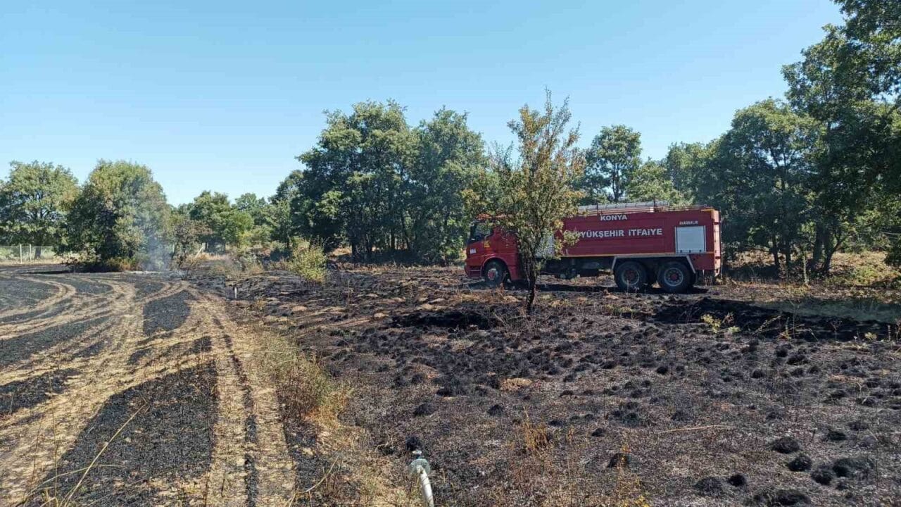 Konya’nın Beyşehir ilçesinde arpa ekili alanda çıkan yangın ormanlık alana