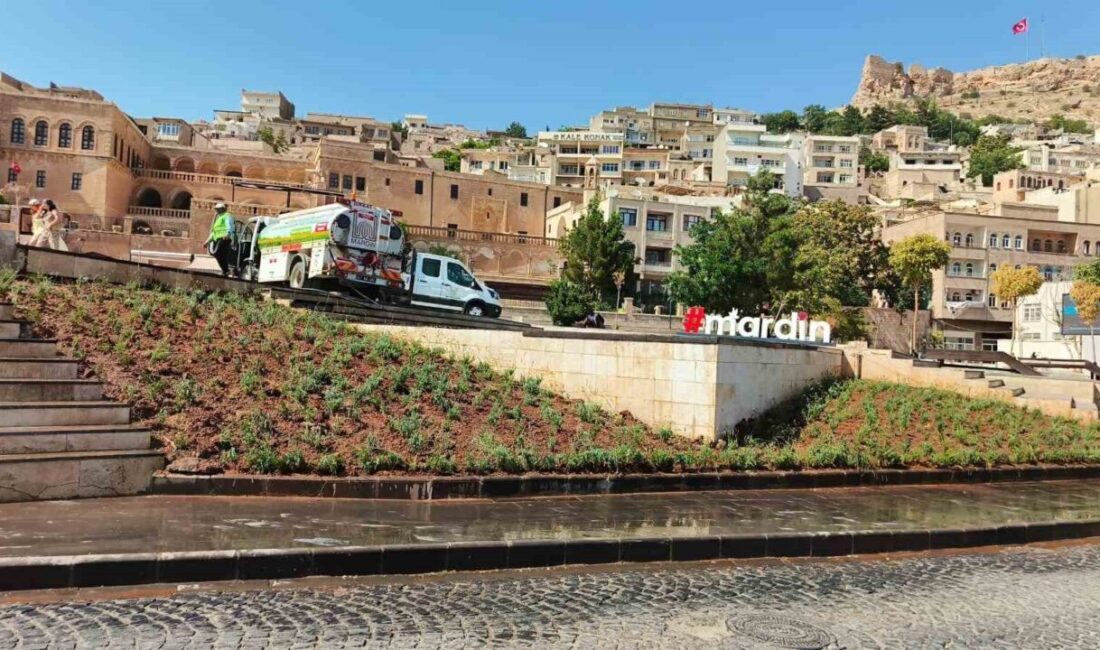 Mardin Büyükşehir Belediyesi Çevre Koruma ve Kontrol Daire Başkanlığı, kent