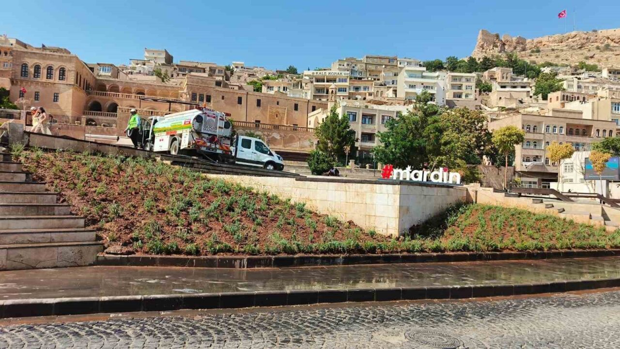 Mardin Büyükşehir Belediyesi Çevre Koruma ve Kontrol Daire Başkanlığı, kent