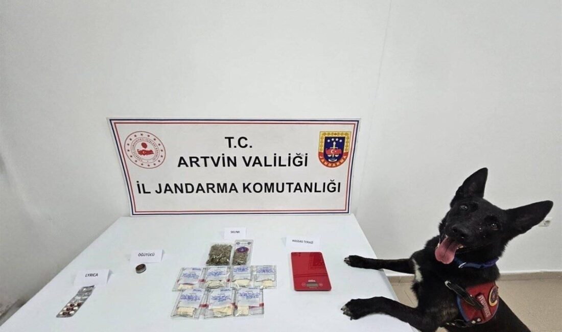 Artvin’in Arhavi ilçesinde düzenlenen uyuşturucu operasyonunda satışa hazır uyuşturucu madde