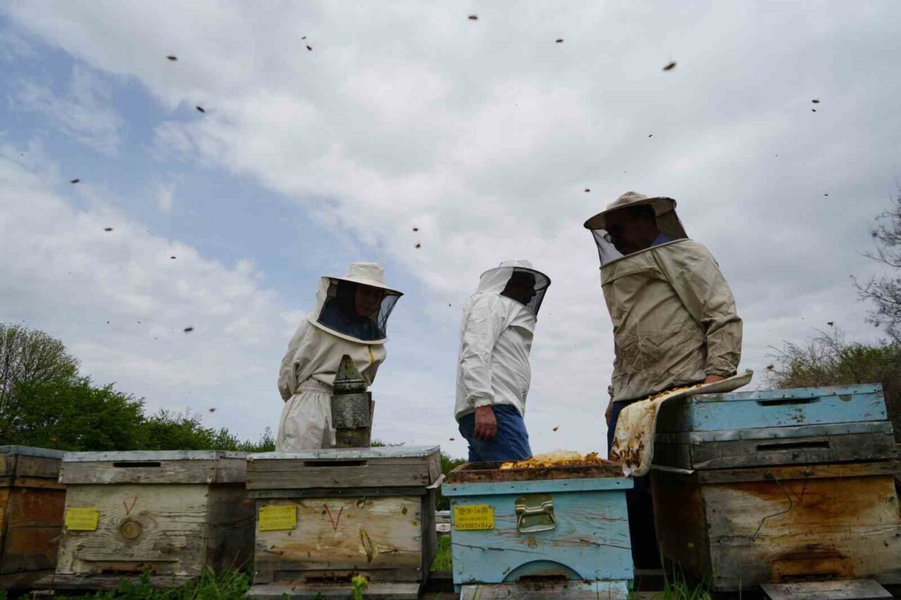 Erzincan’da bulunan arı yetiştiricileri sıcaklar nedeniyle aşırı sıcak ve soğuklara