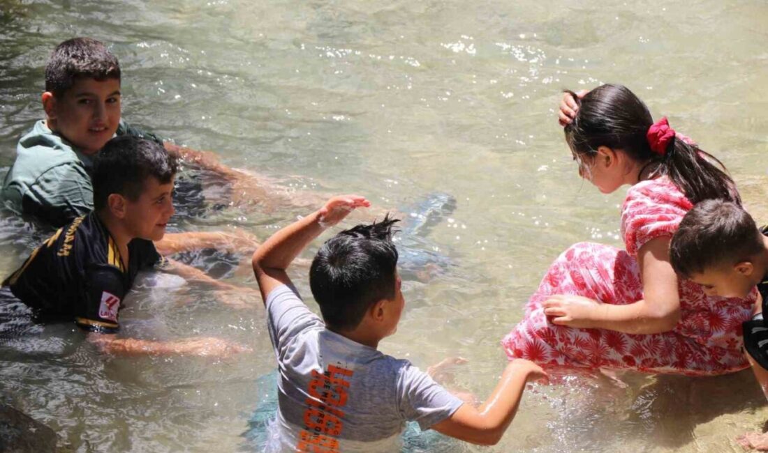 Sıcak havadan kaçan gurbetçiler, dünyanın en görkemli şelalelerinden biri olan