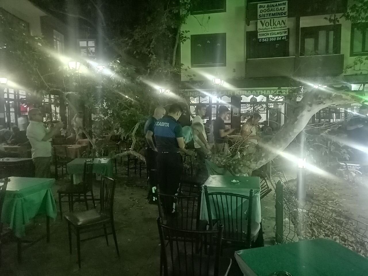 Isparta’nın Yalvaç ilçesindeki tarihi çınar ağacının dalı, çay içip sohbet