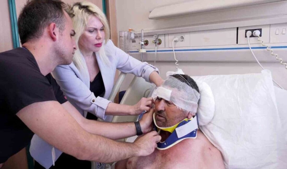 Antalya’da hayvan parkında kafesten kaçan aslanın saldırısı sonucu yaralanan çiftçi