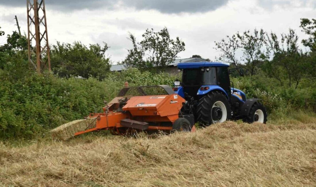 SAMSUN (İHA) – Samsun’un Atakum ilçesinde belediyenin yürüttüğü kırsal kalkınma