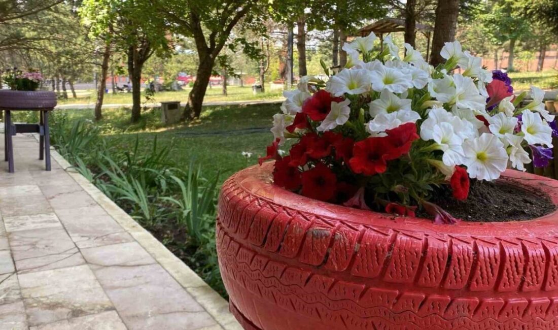 Bolu Abant İzzet Baysal Üniversitesi Eğitim Fakültesi tarafından evlerde atıl