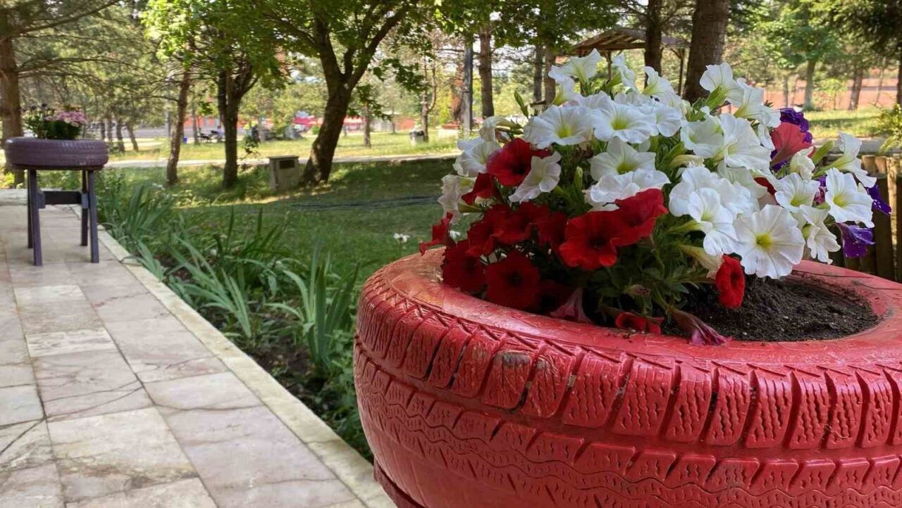 Bolu Abant İzzet Baysal Üniversitesi Eğitim Fakültesi tarafından evlerde atıl