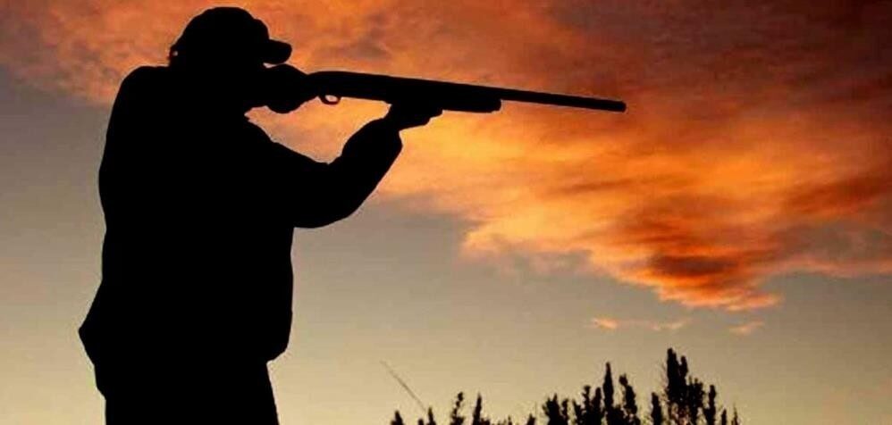 Merkez Av Komisyonu, 2024-2025 dönemi için avlanma bölgelerini ve türleri