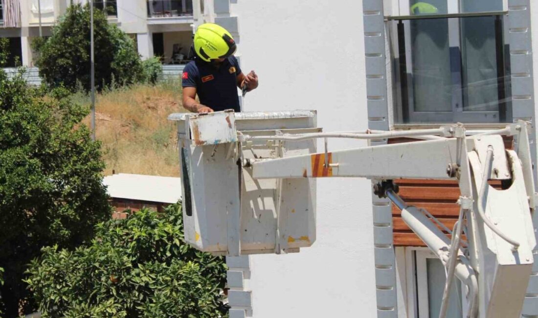 Aydın’ın Efeler ilçesinde bir evin balkonuna sıkışan kumru, duyarlı bir