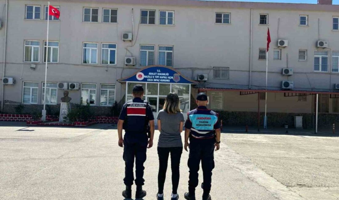 Aydın il genelinde jandarma ekipleri tarafından gerçekleştirilen operasyonlar kapsamında 2