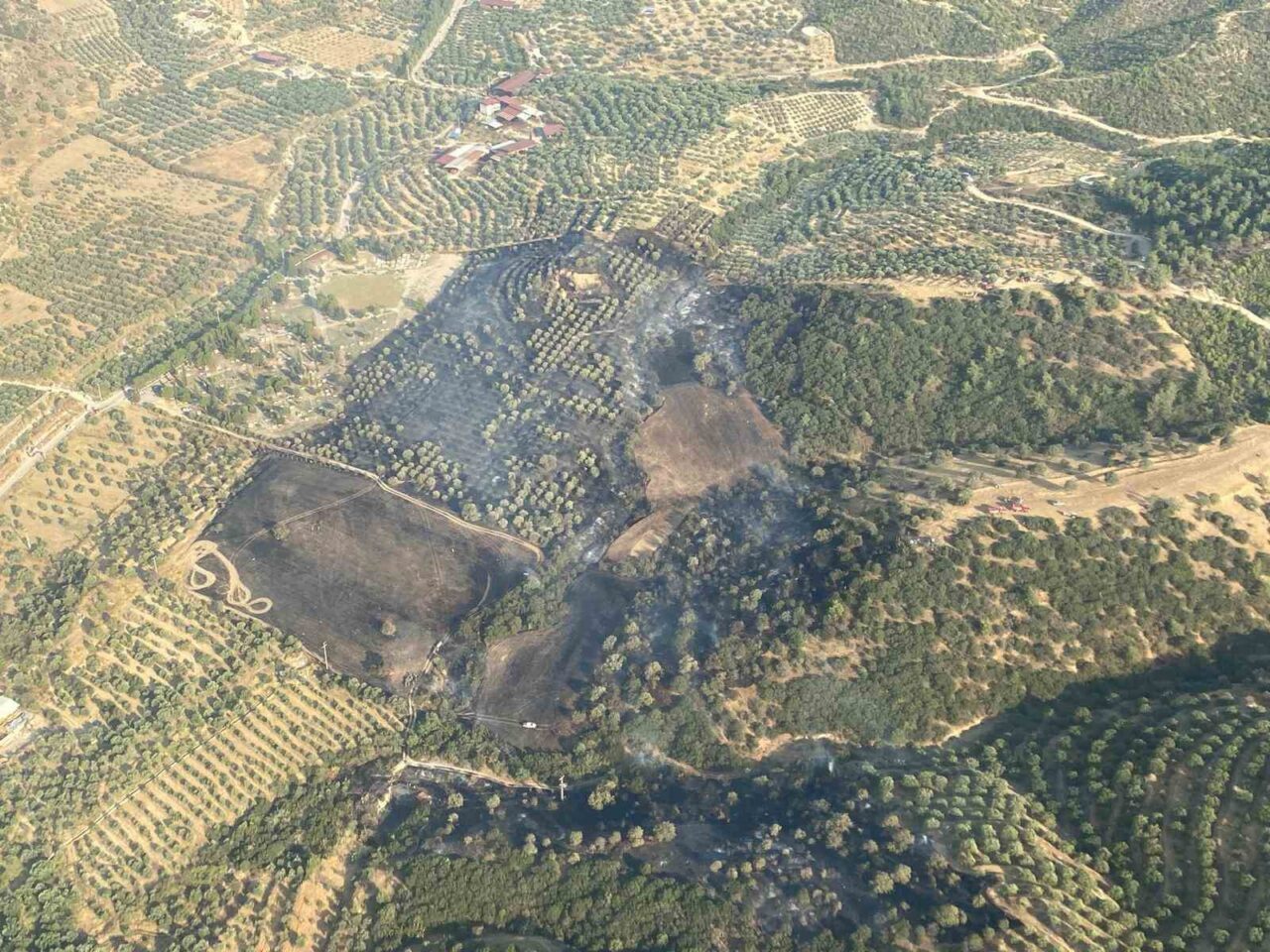 Aydın’ın Kuyucak ilçesinde zirai ve makilik alanda çıkan yangın ekiplerin