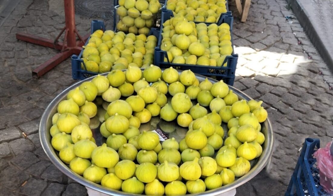 Türkiye’nin önemli tarım kentlerinden biri olan Aydın’da incir sezonu başlarken,