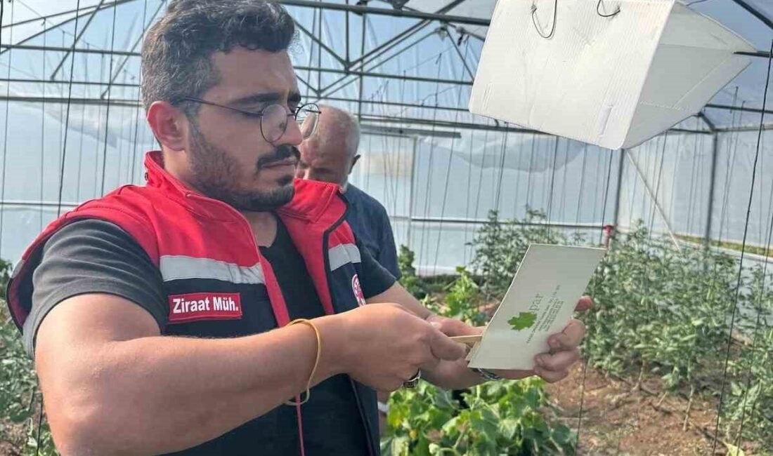 Doğu Karadeniz Projesi (DOKAP) kapsamında Aydıntepe ilçesine bağlı üç yerleşim