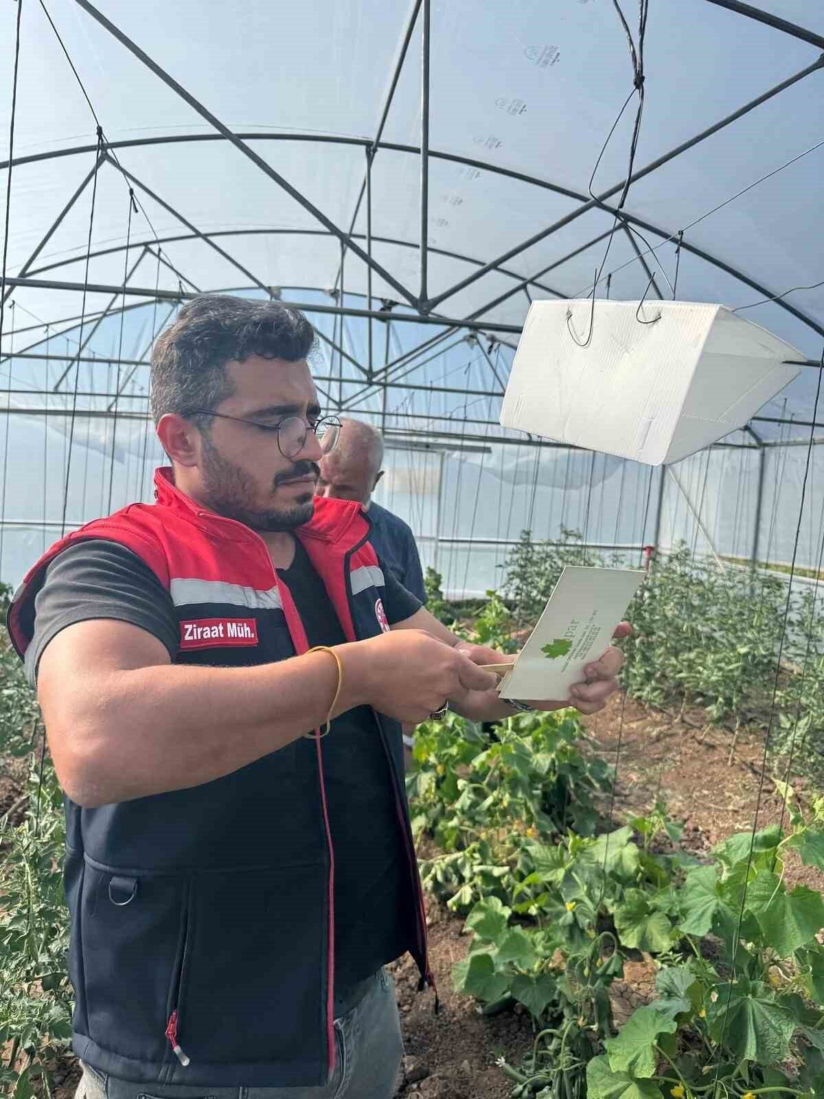 Doğu Karadeniz Projesi (DOKAP) kapsamında Aydıntepe ilçesine bağlı üç yerleşim