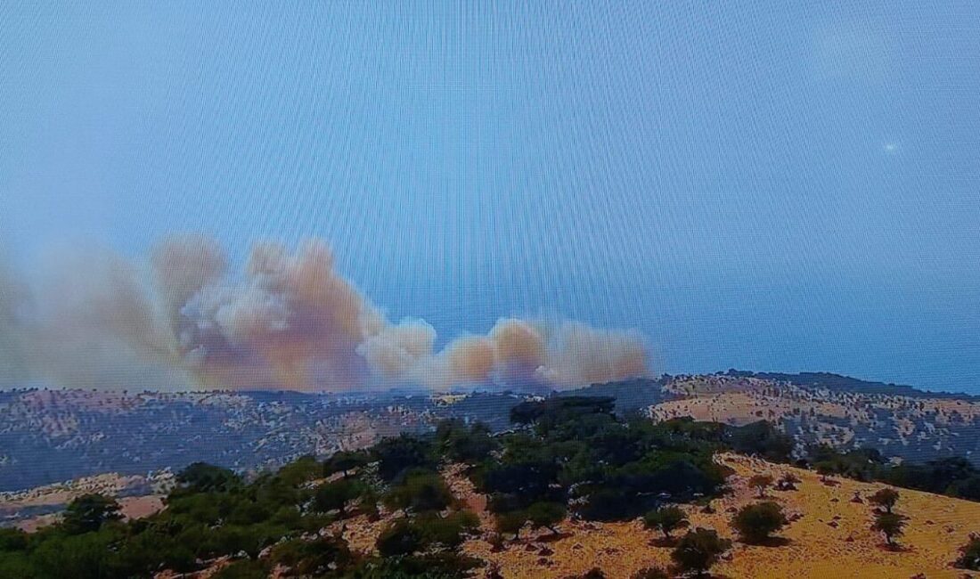 Çanakkale’nin Ayvacık ilçesinde ormanlık alanda çıkan yangını kontrol altına almak
