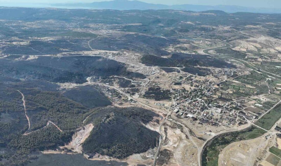 Çanakkale’nin Ayvacık ilçesine bağlı Naldöken köyünde ormanlık alanda meydana gelen