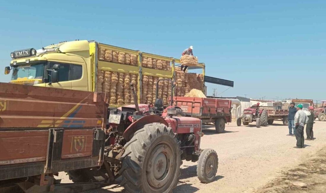 Çanakkale’nin Ayvacık ilçesi Naldöken köyünde ormanlık alanda çıkarak Naldöken ve