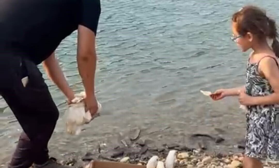 Adana’nın Feke ilçesinde Yusuf Demirelli, kızı Defne ile birlikte sahiplendikleri