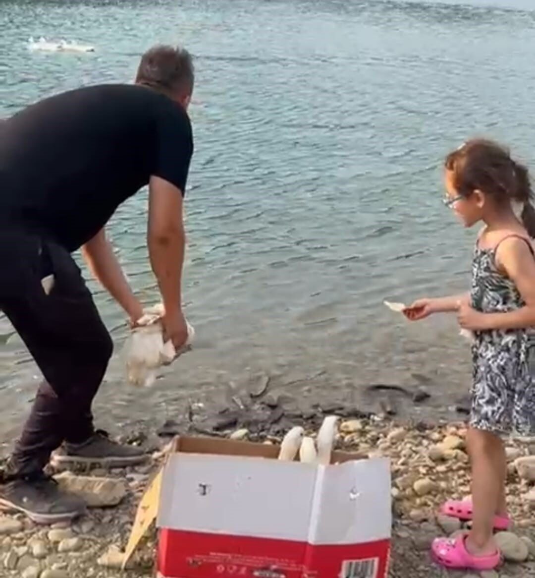 Adana’nın Feke ilçesinde Yusuf Demirelli, kızı Defne ile birlikte sahiplendikleri