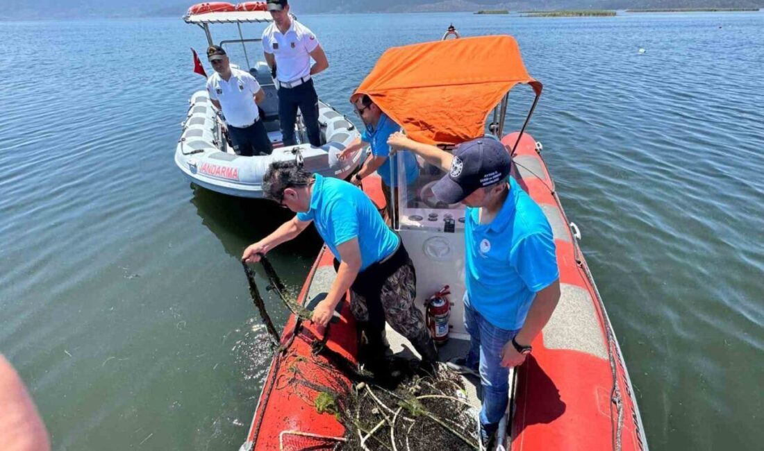 Aydın’ın Söke ilçesinde sahaya inen ilçe tarım ekipleri, jandarma ekipleriyle