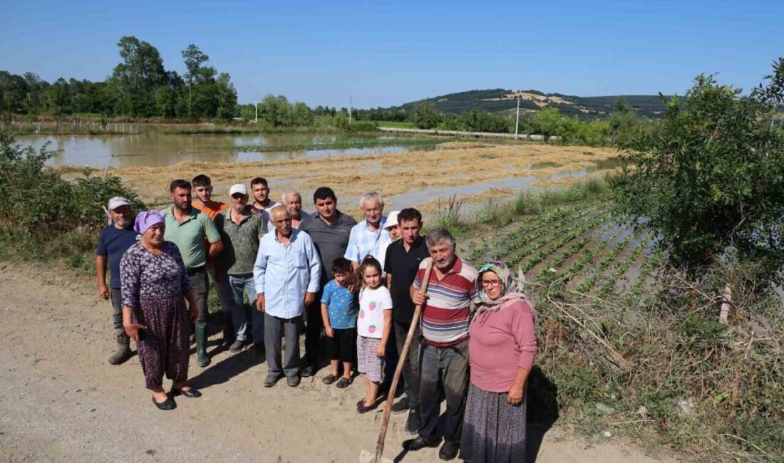 Samsun’un Bafra ilçesine bağlı Örencik Mahallesi’nde su kanalının girişinin yosun