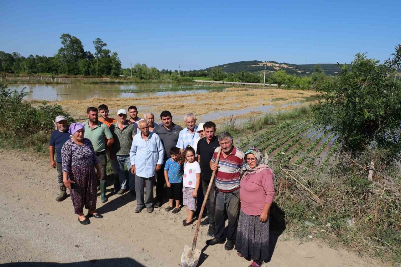 Samsun’un Bafra ilçesine bağlı Örencik Mahallesi’nde su kanalının girişinin yosun