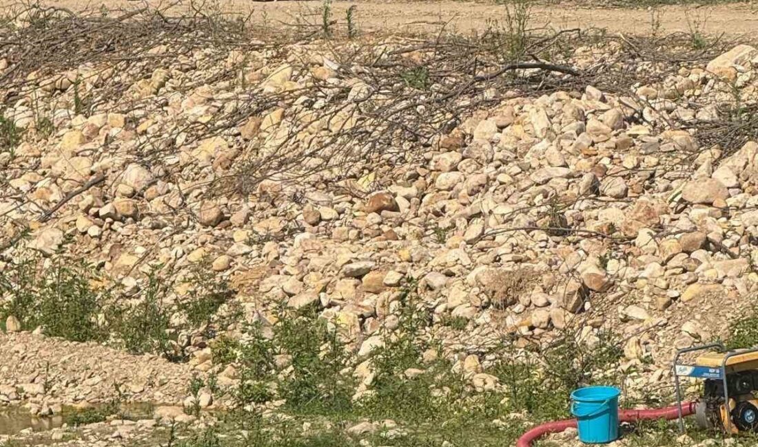 Düzce’de bir kişi, Melen Çayı’nda bahçesini sularken kalp krizi geçirerek