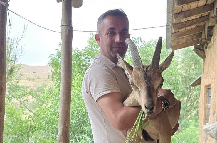 Van’ın Bahçesaray ilçesinde kırsal alanda bitkin halde bulunan bir dağ