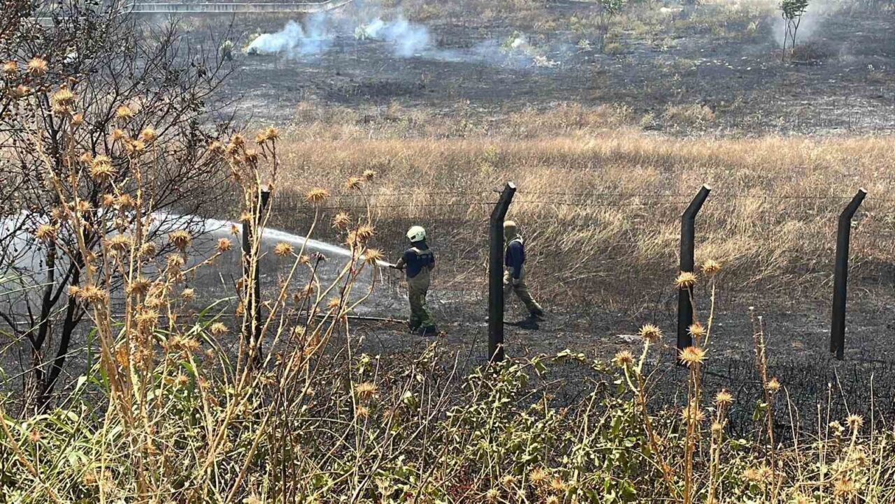 TEM Otoyolu Bahçeşehir’de otluk alan alev alev yandı. Tedbir amaçlı