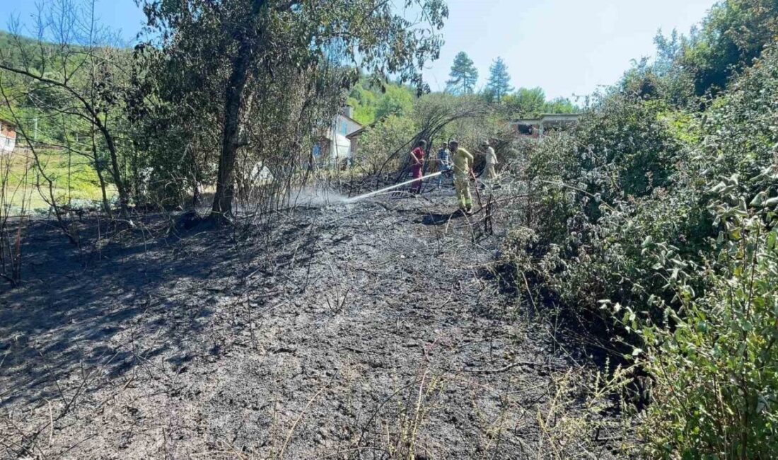 Bartın’da bahçeye atılan kırık soda şişesi nedenyle yangın çıktı. Yangın,
