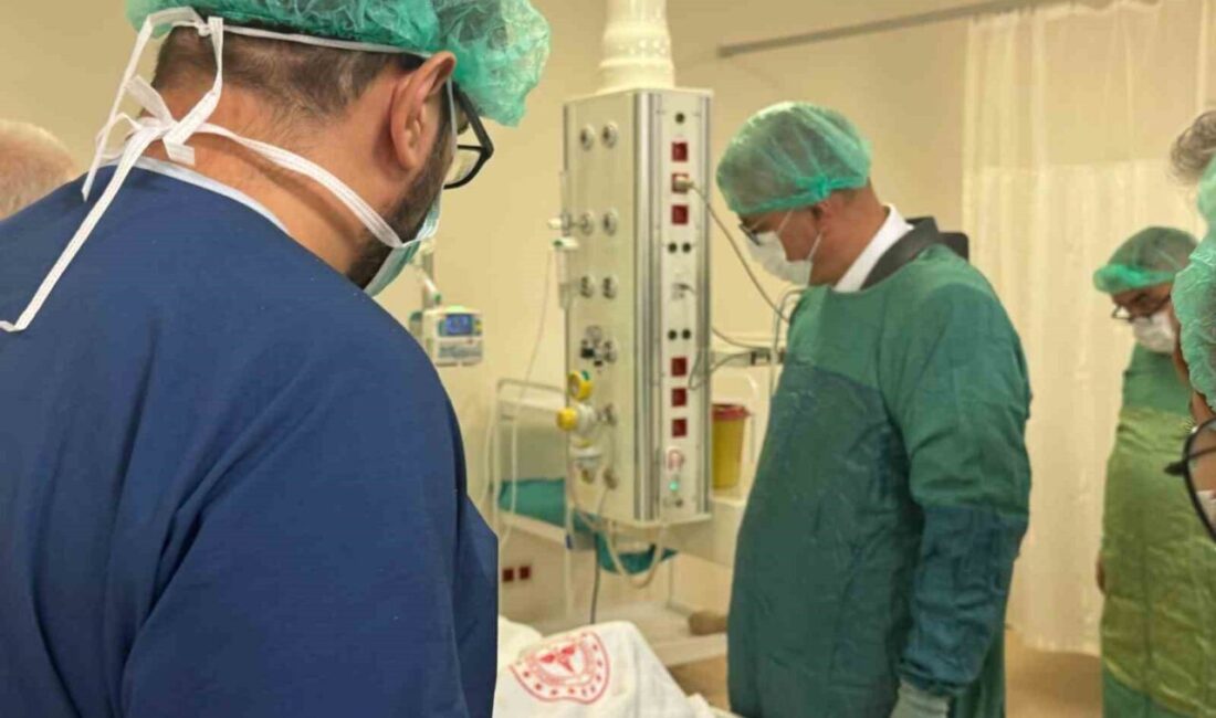 Eskişehir’in Seyitgazi ilçesindeki orman yangınında yaralanan ve dün Sağlık Bakanı