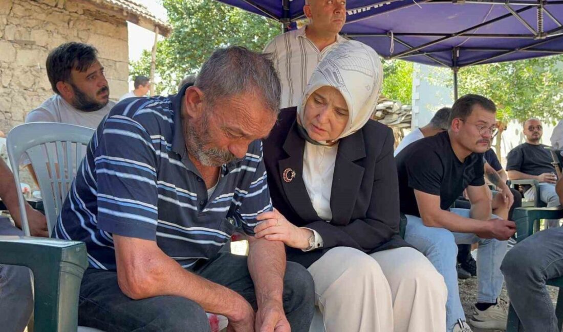 Aile ve Sosyal Hizmetler Bakanı Yardımcısı Leman Yenigün, orman yangınında