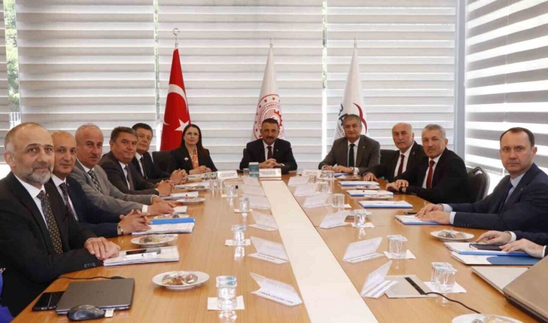 Batı Karadeniz Kalkınma Ajansı (BAKKA) Temmuz ayı Yönetim Kurulu Toplantısı,