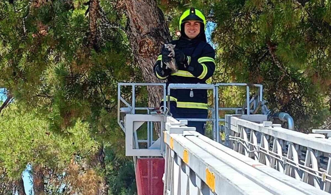 Balıkesir İtfaiye Daire Başkanlığına bağlı itfaiye ekipleri Balıkesir genelinde 2