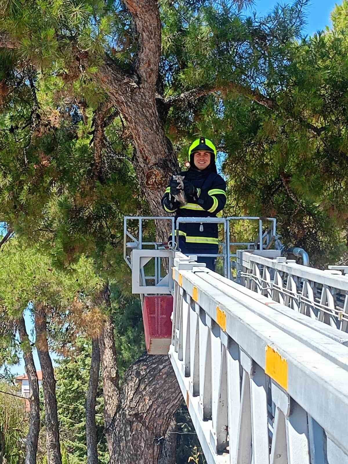 Balıkesir İtfaiye Daire Başkanlığına bağlı itfaiye ekipleri Balıkesir genelinde 2