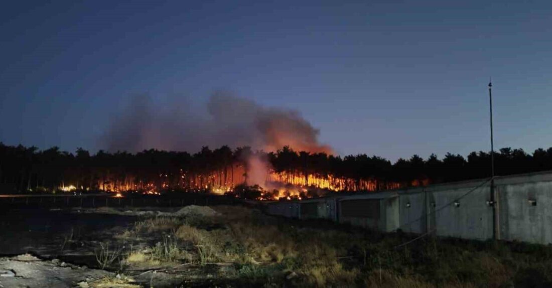 Balıkesir’in Savaştepe ilçesinde çıkan orman yangınına ekiplerin müdahalesi devam ediyor.