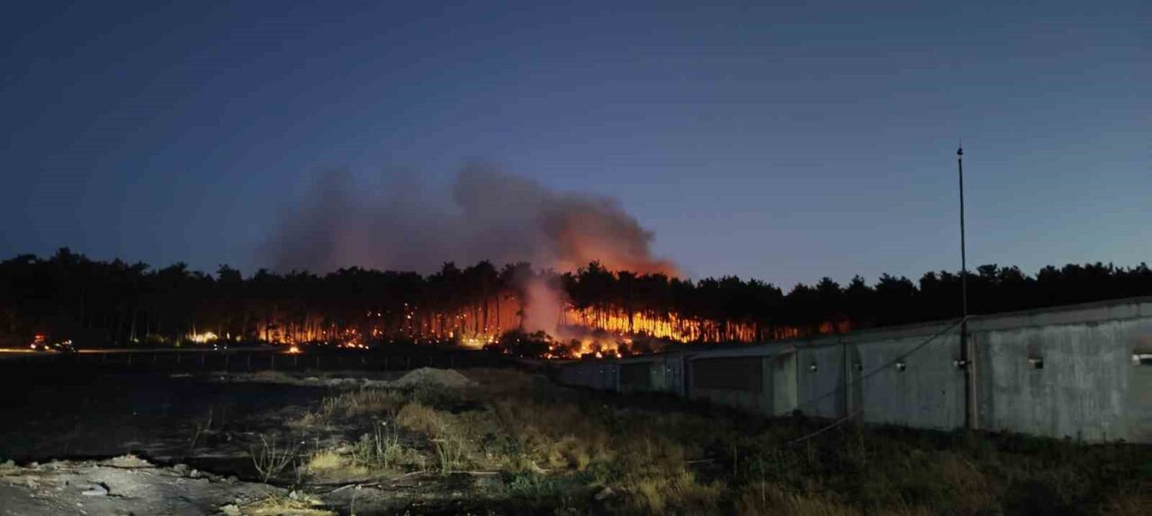 Balıkesir’in Savaştepe ilçesinde çıkan orman yangınına ekiplerin müdahalesi devam ediyor.
