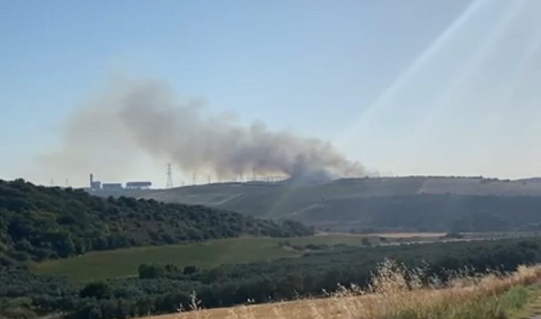 Balıkesir’in Bandırma ilçesinde Organize Sanayi Bölgesi (OSB) yakınlarında çıkan arazi