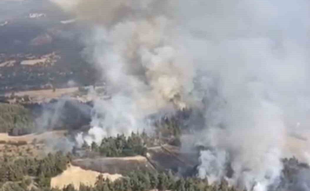 Balıkesir’in Dursunbey ilçesinde ormanlık alanda yangın çıktı. Dursunbey ilçesine bağlı