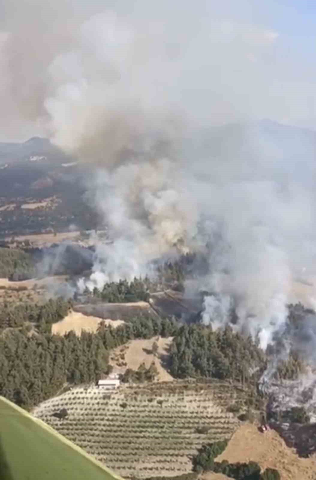 Balıkesir’in Dursunbey ilçesinde ormanlık alanda yangın çıktı. Dursunbey ilçesine bağlı