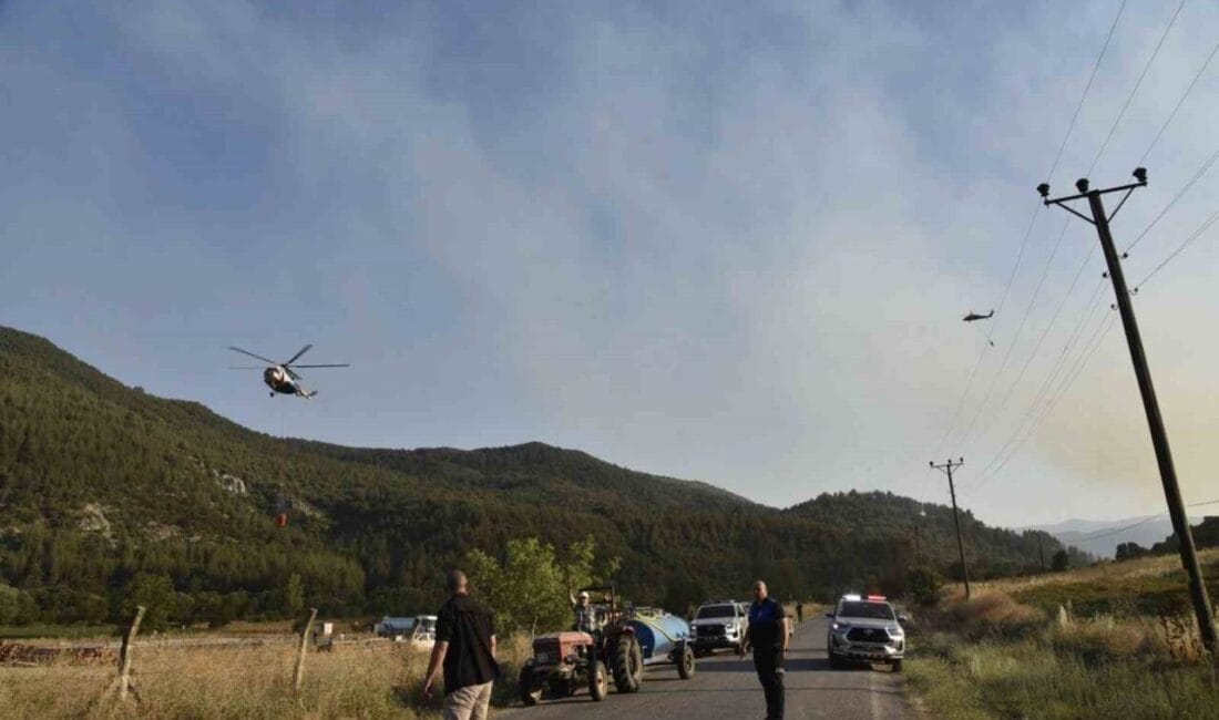 Balıkesir’in Dursunbey ilçesinde öğleden sonra çıkan orman yangını kontrol altına