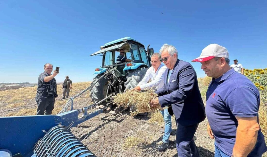 Bandırma Belediyesi, tarımsal üretimi ve yerel çiftçiyi destekleme çalışmaları kapsamında