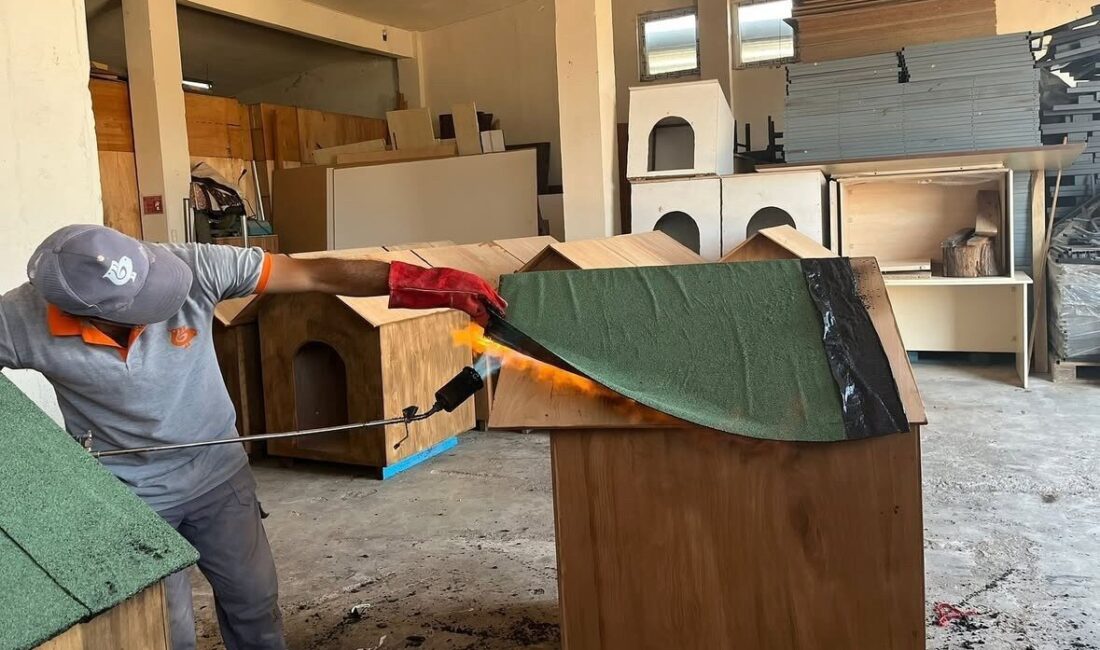 Bandırma Belediyesi, sokakta yaşayan hayvanların barınma ihtiyacını karşılamak amacıyla doğal