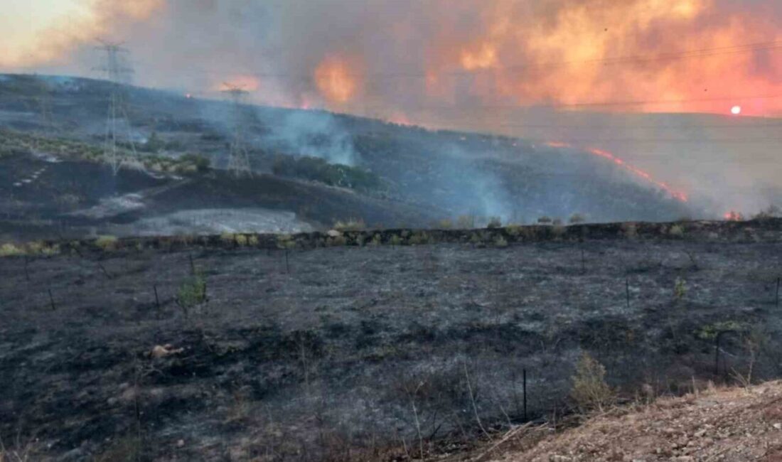 Balıkesir’in Bandırma ilçesinde Organize Sanayi Bölgesi (OSB) yakınlarında çıkan arazi