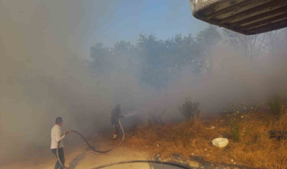 Balıkesir’in Bandırma ilçesinde otluk alanda çıkan yangın, itfaiye ekiplerinin müdahalesiyle