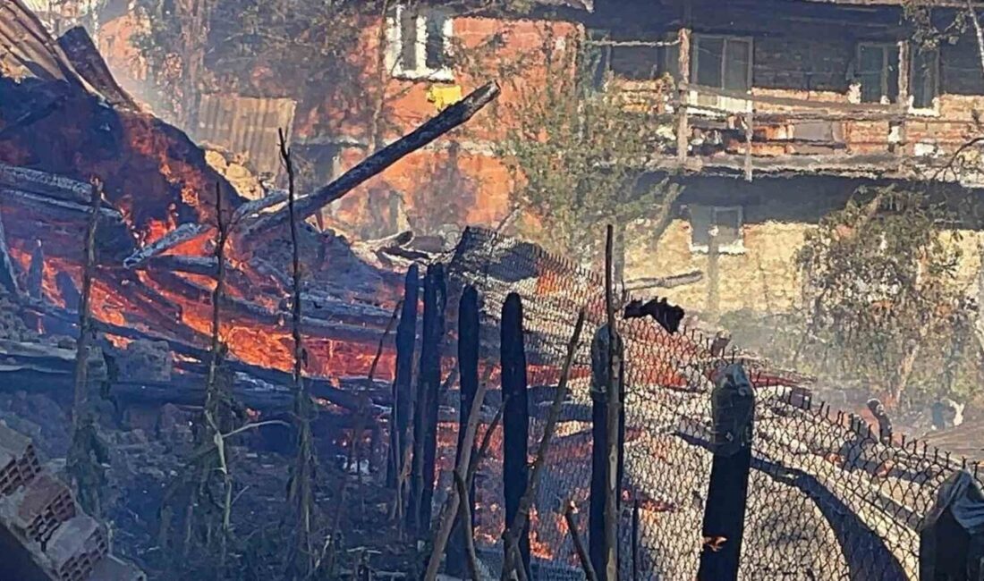 Bartın’da 2 saat içerisinde 8 farklı noktada yangın ihbarı yapıldı.